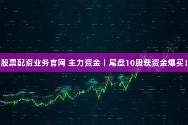股票配资业务官网 主力资金丨尾盘10股获资金爆买！