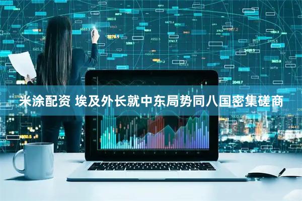 米涂配资 埃及外长就中东局势同八国密集磋商
