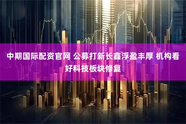 中期国际配资官网 公募打新长鑫浮盈丰厚 机构看好科技板块修复